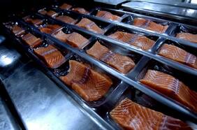 Estadounidense Cargill ingresa a la propiedad de Salmones Multiexport