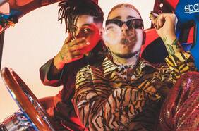 Vitrina: Javiera Parra & Humboldt, Ceaese, Manuel García y más