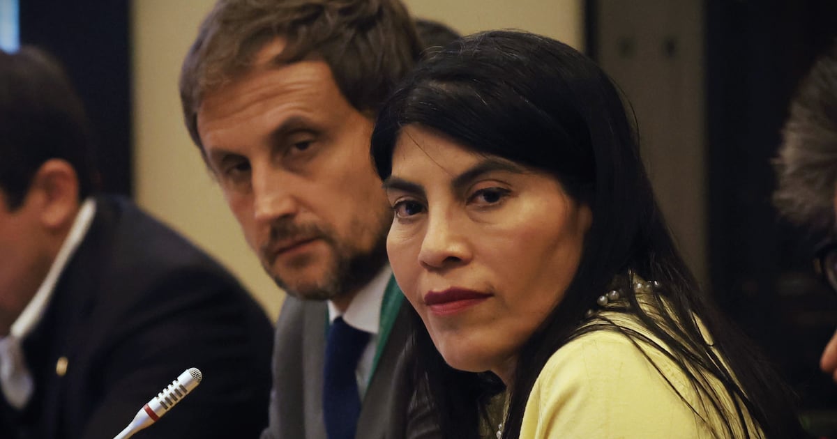 * Source Material: A news report about a crisis in the Ministry of Science involving Minister Ximena Lincolao and former Undersecretary Rafael Araos.