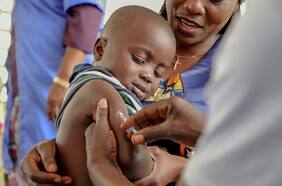 OMS no descarta propagación regional e internacional de virus del ébola desde África