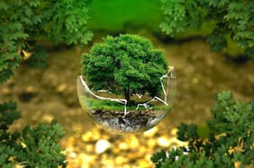 Empresas verdes: Emprendimientos y soluciones creadas en Chile para transición a organizaciones sostenibles