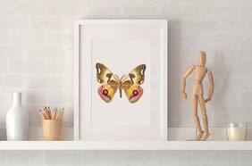 Buscador: Encuentra los mejores datos