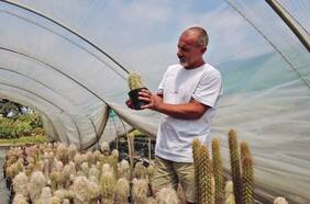 “Operación Atacama”: el caso policial de un italiano que robó más de 1.000 cactus chilenos del desierto de Atacama