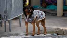 Lluvia, frío, calor y viento: el pronóstico de tiempo inestable que marcará la semana en Chile