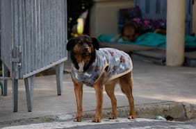 Lluvia, frío, calor y viento: el pronóstico de tiempo inestable que marcará la semana en Chile