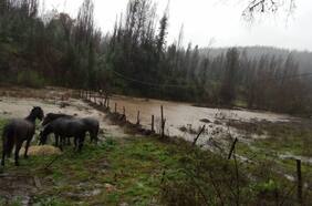 Casi 2 mil agricultores afectados por el sistema frontal en Biobío: Minagri efectúa primeras entregas de “ayudas tempranas”