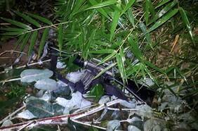 Las huellas de Marchant: Fusil M-16 de miembro de la CAM hace “match” en seis atentados