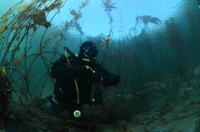 “No descrito en la literatura científica”: investigadora chilena descubre desconocidas olas frías en el mar de la Patagonia