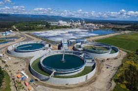 Empresas chilenas cerraron el 2024 con alza de casi 2% en ganancias y totalizaron más de US$ 23 mil millones