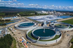 Resultados de CMCP y Copec en línea con las estimaciones y el mercado apuesta a una mejora en el precio de la celulosa