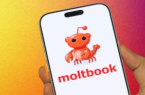 Moltbook: ¿Sueñan los bots de IA con ovejas eléctricas?