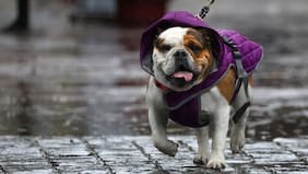 Marzo fue históricamente lluvioso: qué ciudades de Chile rompieron récords, según la DMC