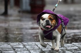 Marzo fue históricamente lluvioso: qué ciudades de Chile rompieron récords, según la DMC