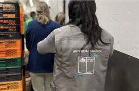 Minsal alerta presencia de Listeria monocytogenes en lote de quesillo San Cristóbal distribuido en Chillán y San Nicolás