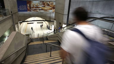 Metro extiende horario de algunas estaciones por conciertos de Los Jaivas y Anuel AA este domingo