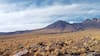 Del Gobi (China) a Atacama: innovar para escalar en conservación