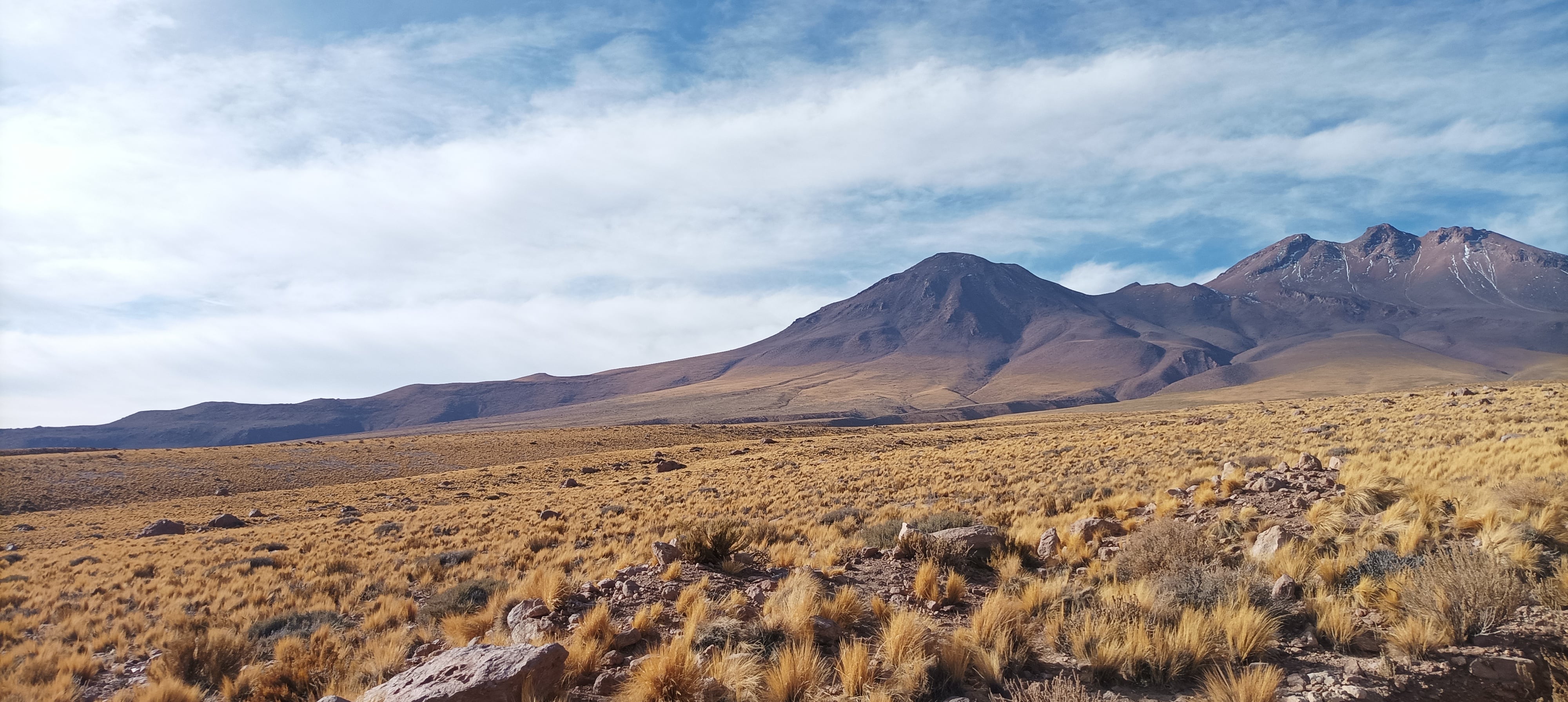 Del Gobi (China) a Atacama: innovar para escalar en conservación