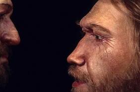 ¿Seguiríamos viéndonos a nosotros mismos como ‘humanos’ si otras especies de homínidos como los neandertales no se hubieran extinguido?