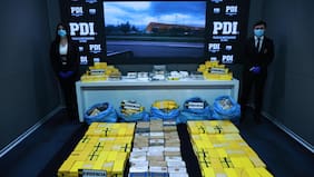 Más de 739 kilos de droga incautados y dos sujetos detenidos tras operativo policial