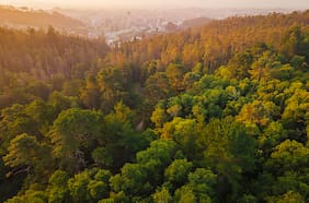 Multinacional lanza el primer “hub de naturaleza” de Latinoamérica