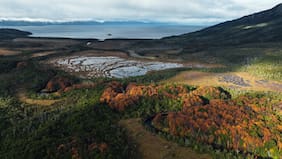 Turberas de Cabo Froward almacenan hasta 3 veces más carbono que los bosques del sector