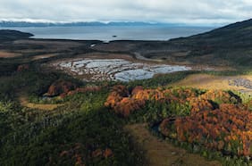 Turberas de Cabo Froward almacenan hasta 3 veces más carbono que los bosques del sector