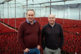 La fusión que crea el mayor vivero de Chile