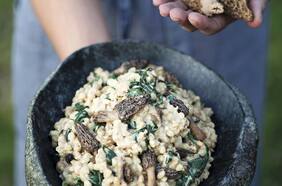 Trigoto de mote y hongos