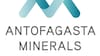 Antofagasta Minerals nombra a Carlos Ávila como nuevo director