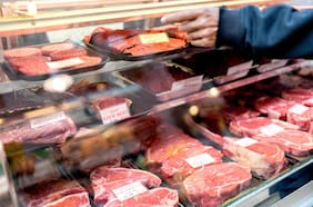 Nuestra obsesión por la carne está destruyendo el planeta: ¿La solución? Cambiar la forma en que vemos a los animales