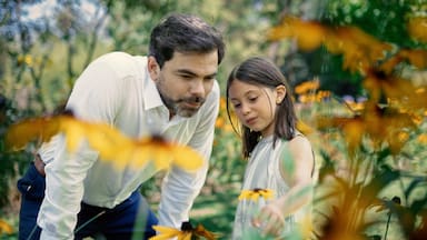 Rating del miércoles 14 de enero en Chile: cómo le fue a CHV, Mega, Canal 13 y TVN