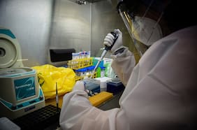 Balance 2021 y desafíos 2022: La ciencia chilena regresa a los laboratorios