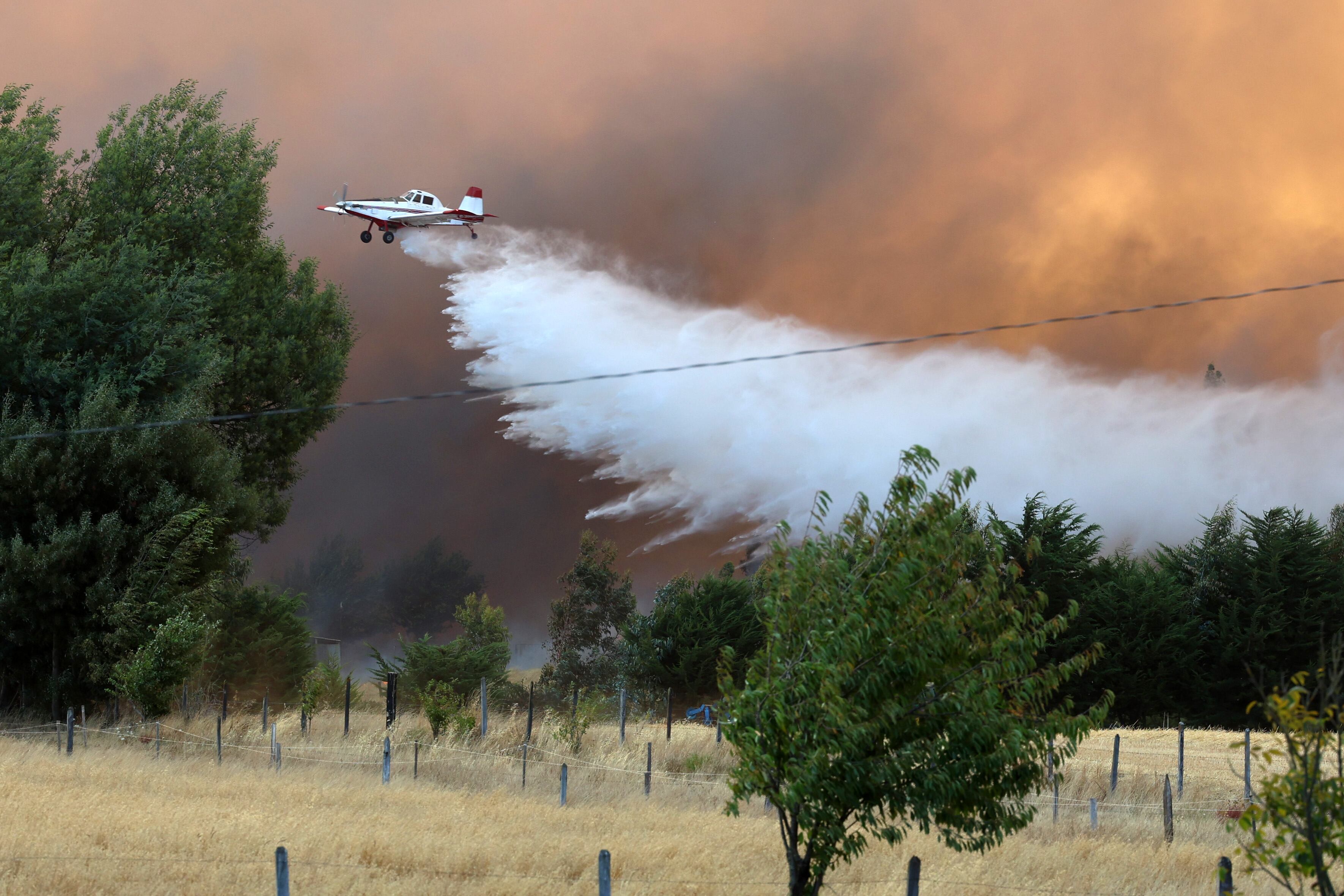 Incendios forestales desatan emergencia en la región de Maule, Chile
