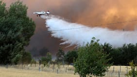 Bomberos y brigadas de Conaf combaten incendio forestal en Limache: ya van 70 hectáreas afectadas