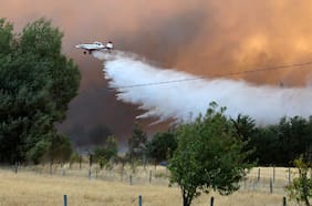 Bomberos y brigadas de Conaf combaten incendio forestal en Limache: ya van 70 hectáreas afectadas
