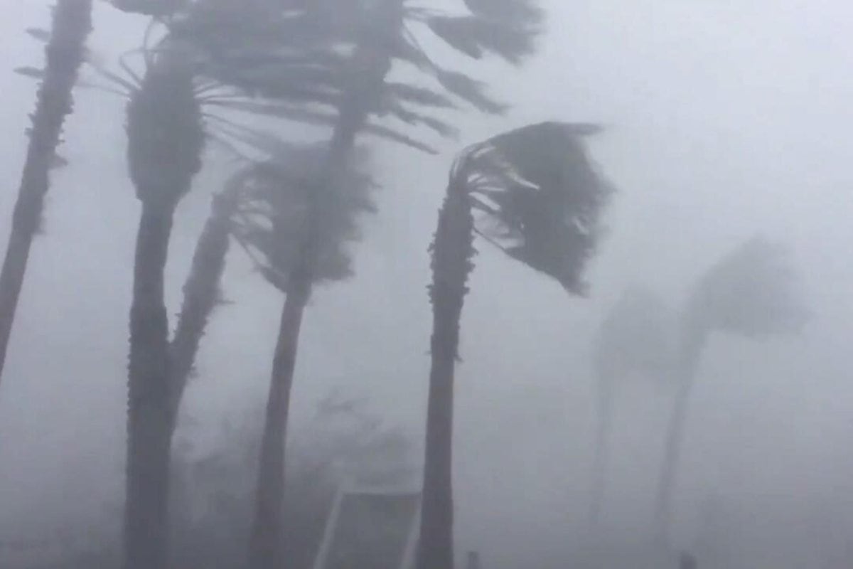 Tormenta tropical y un ciclón pone en alerta a Japón: ordenan evacuar casi 200 mil personas