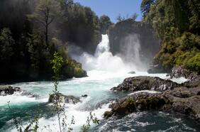 Huilo Huilo, la maravillosa reserva biológica que tiene bosques hechizados