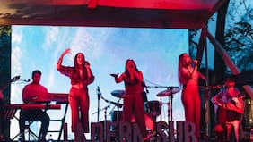 Con música en vivo, charlas y paneles sobre el medioambiente: los detalles del Festival Ladera Sur 2025