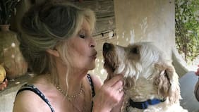 “La fama es maravillosa e insoportable, no me importa que me recuerden”: cómo fueron los años finales de Brigitte Bardot