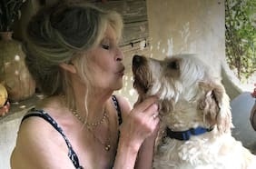 “La fama es maravillosa e insoportable, no me importa que me recuerden”: cómo fueron los años finales de Brigitte Bardot