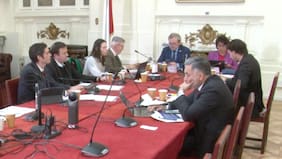 Problemas de sobredotación, licencias médicas y baja en matrícula: director (s) de la DEP da cuenta del estado financiero de los SLEP