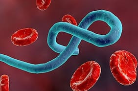 La República Democrática del Congo declara el fin de la 12ª epidemia de ébola