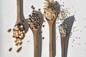 Granos, legumbres y pastas