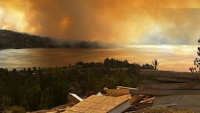 Senapred solicita evacuar sector de Vichuquén por incendio forestal que ha destruido 280 hectáreas