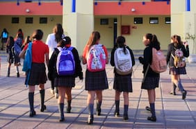 Encuesta de Fundación Tremendas: el 80% de las jóvenes le da máxima importancia a recibir educación ambiental en el colegio