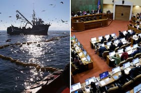 Nueva Ley de Pesca: ¿Proteger la competencia o a los competidores?