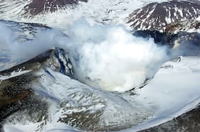 “Han existido por millones de años”: descubren asombrosas especies viviendo en el interior del volcán Copahue