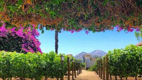 Una viña chilena es elegida como la mejor del mundo 2025 por Forbes