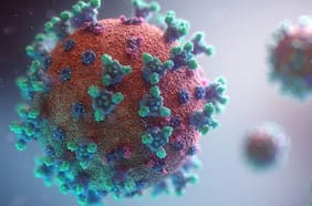 Reportan el primer caso humano de la gripe aviar H9N2 en Europa: qué se sabe sobre el virus y cuáles son sus síntomas