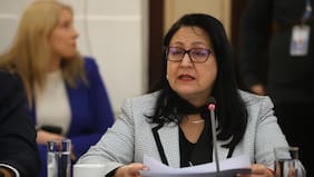 Dorothy Pérez descarta que filtración de preinforme en caso de niños haitianos provenga del organismo